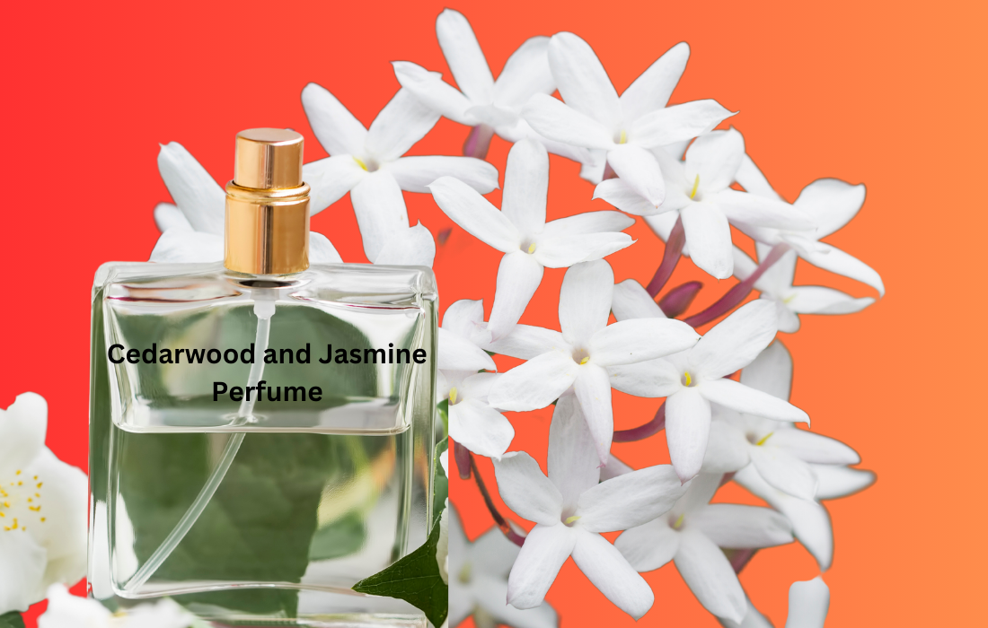 A perfect and detailed guide about Cedarwood and Jasmine Perfume